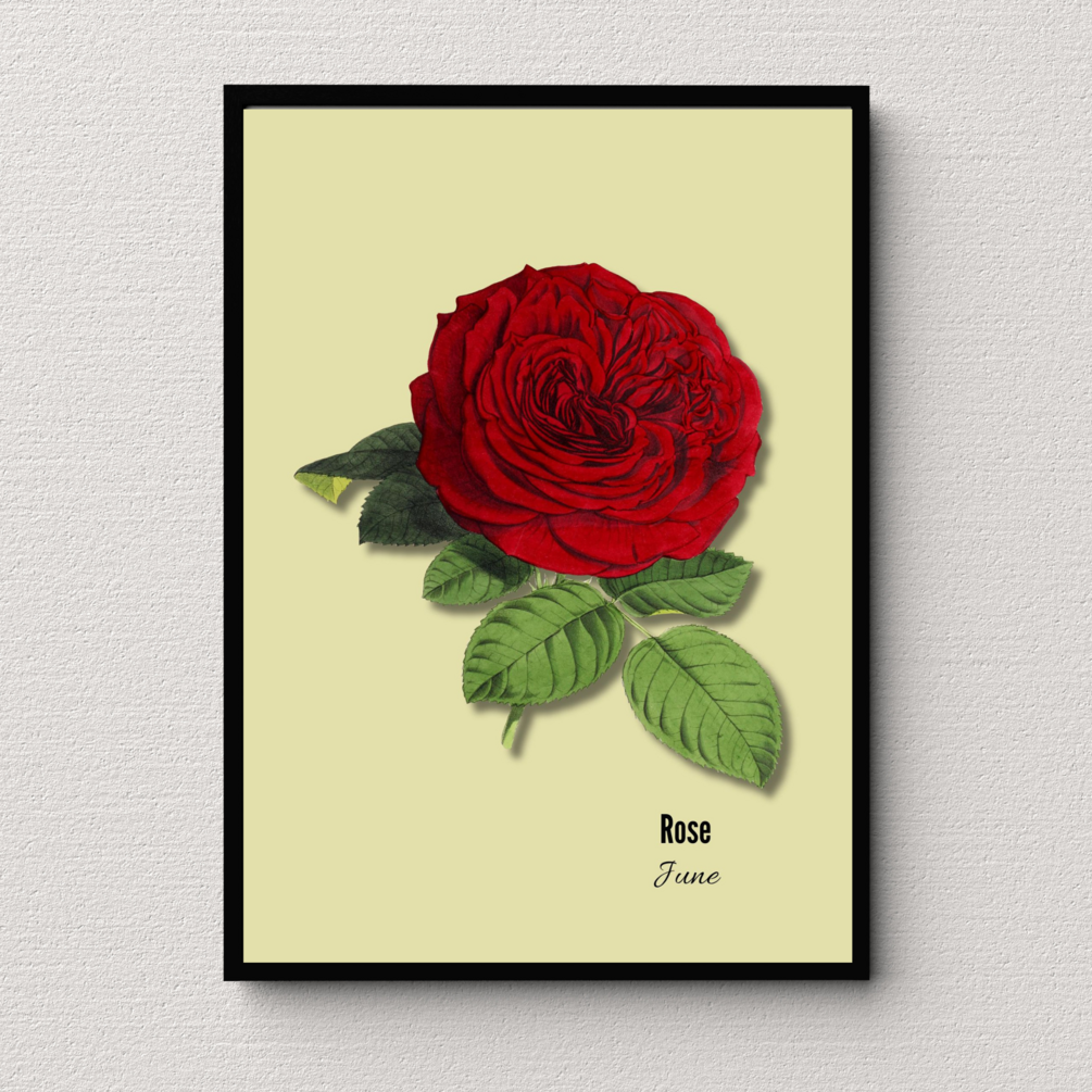 printable-artwork-june-birth-month-flower-high-quality-printable