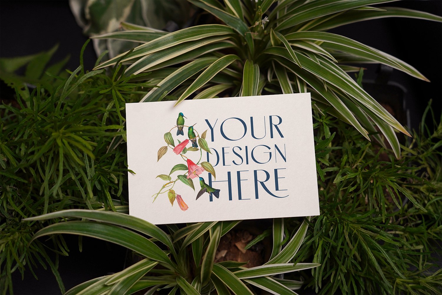 Botanical Picture Mockup no.9
