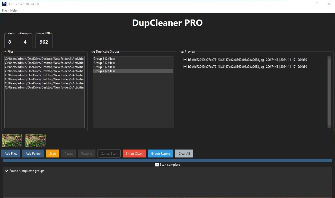 DupCleaner PRO file and duplicate group list panel