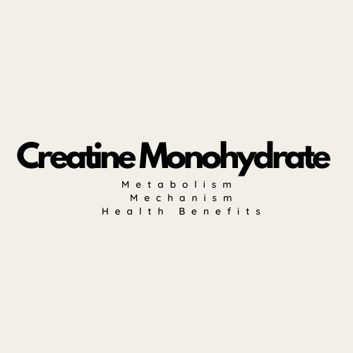 creatine-monohydrate-metabolism-mechanisms-and-health-benefits