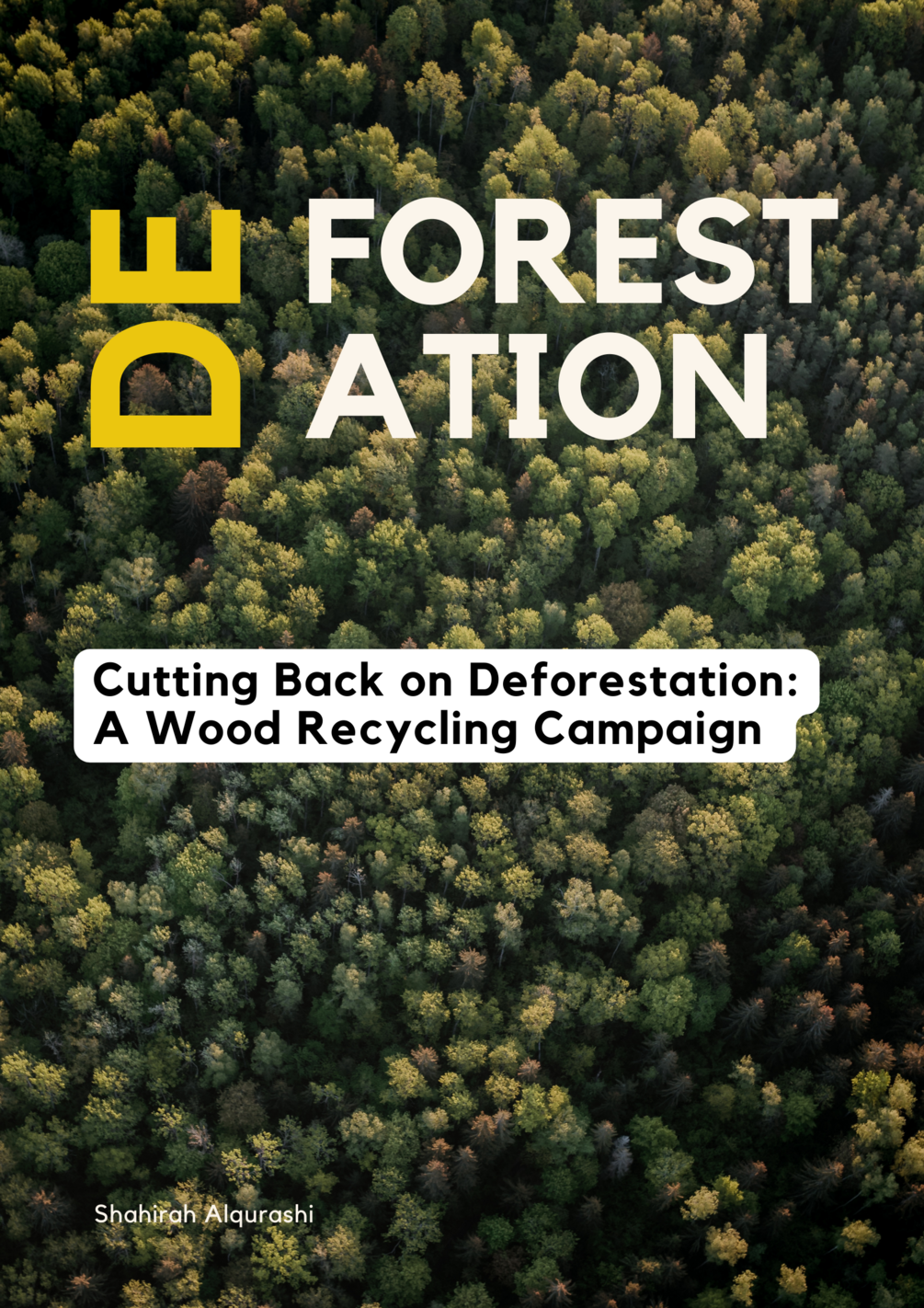 Cutting Back on Deforestation: A Wood Recycling Campaign
