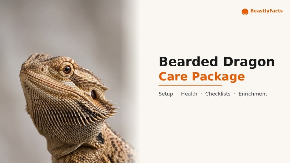 Bearded Dragon Care Package cover, printable PDF owner manual