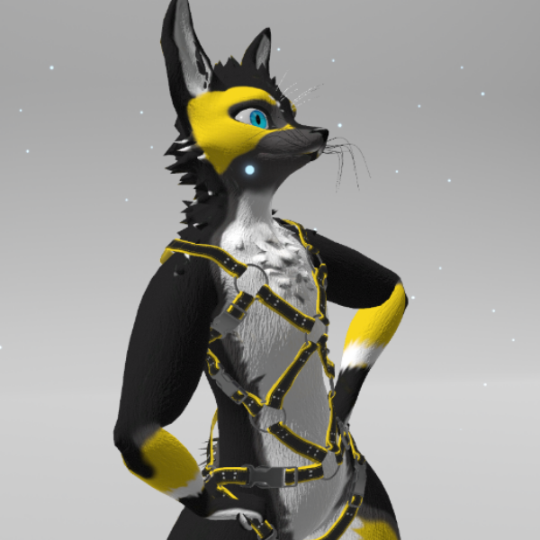 Rex Full Body Harness, Collars and Leash