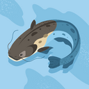 Gumroad profile picture for @k02