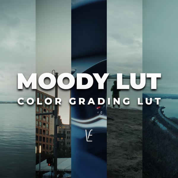 Moody | FREE Cinematic Color Grading LUT for Video