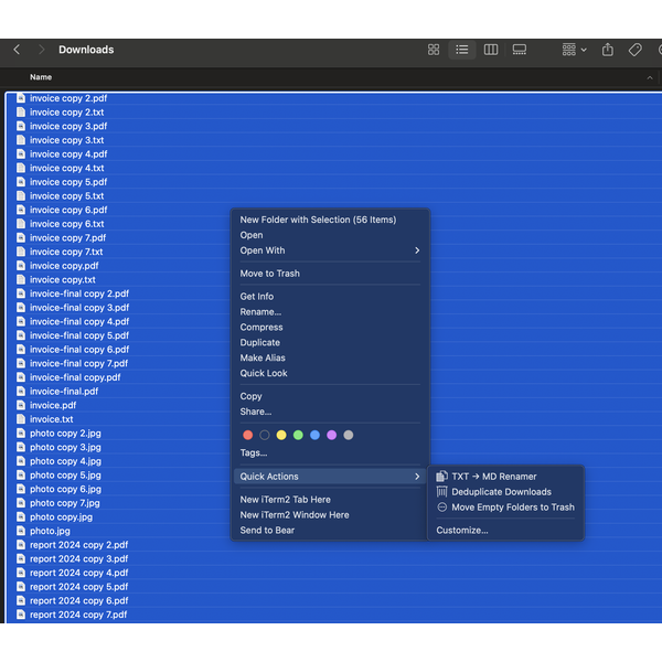 Preview of Duplicate Downloads Cleaner Quick Action