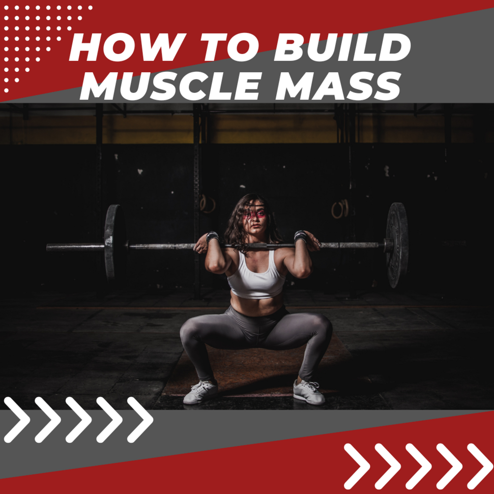 how to build muscle mass