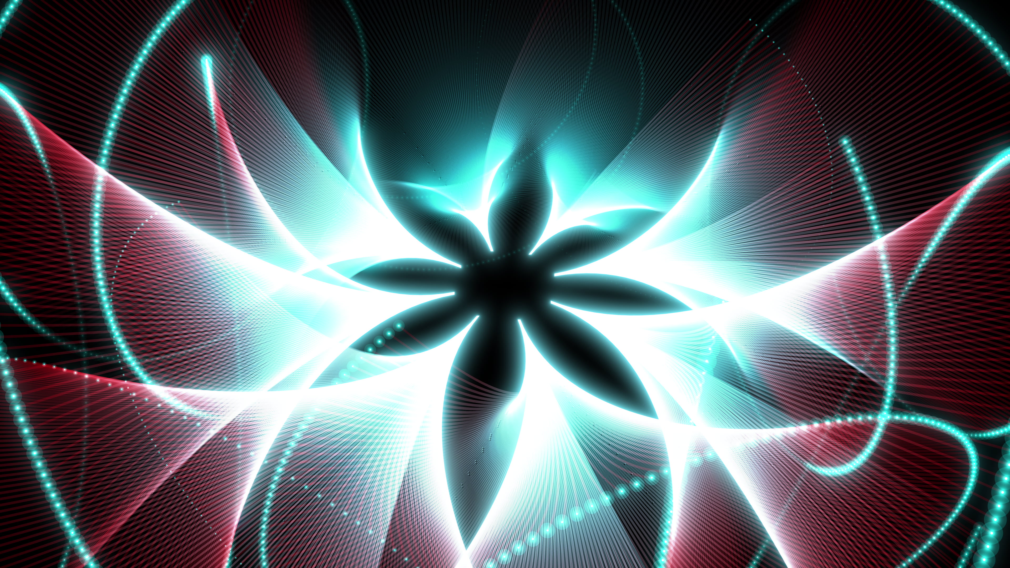 Nexus II: a frame from the loop.