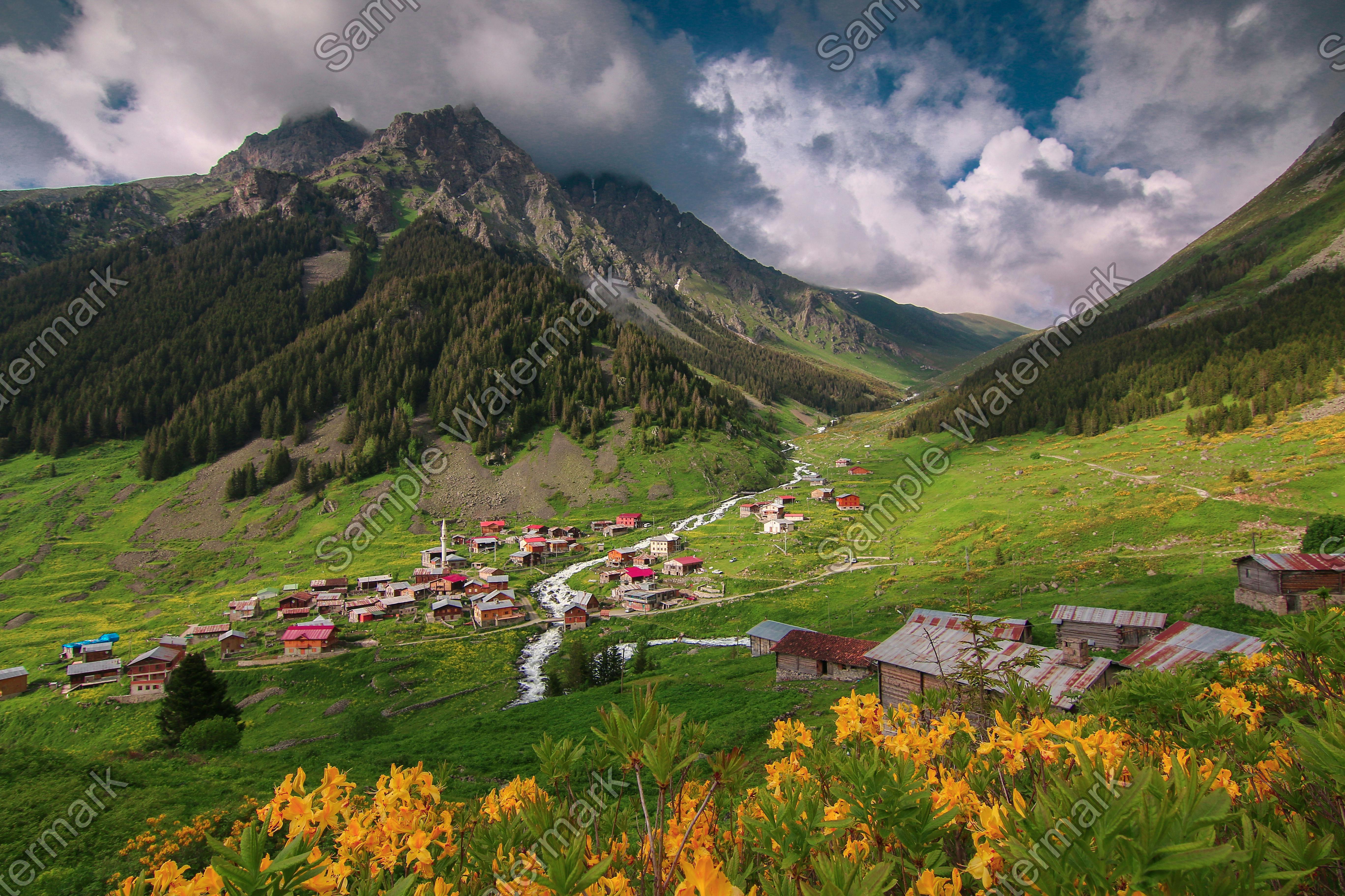 Advanced Watermark Options