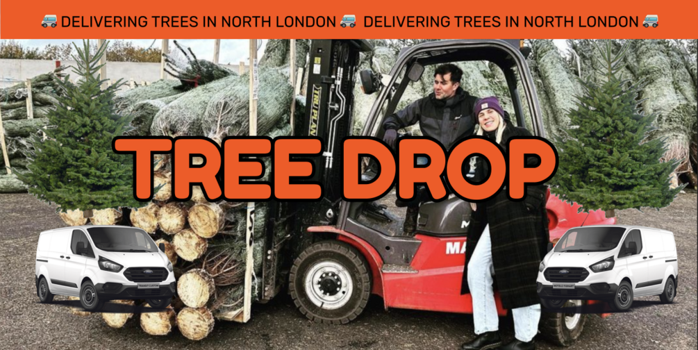 Christmas Tree Delivered By Tree Drop