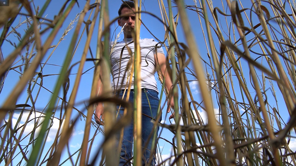 UNAWARE GIANT MACROPHILIA GARDEN ADVENTURES