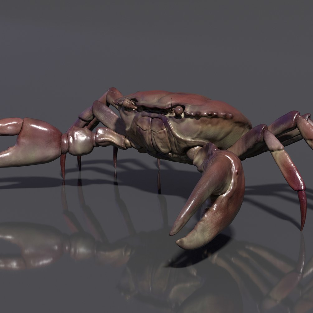 Rigged Crab 3D Models for Download