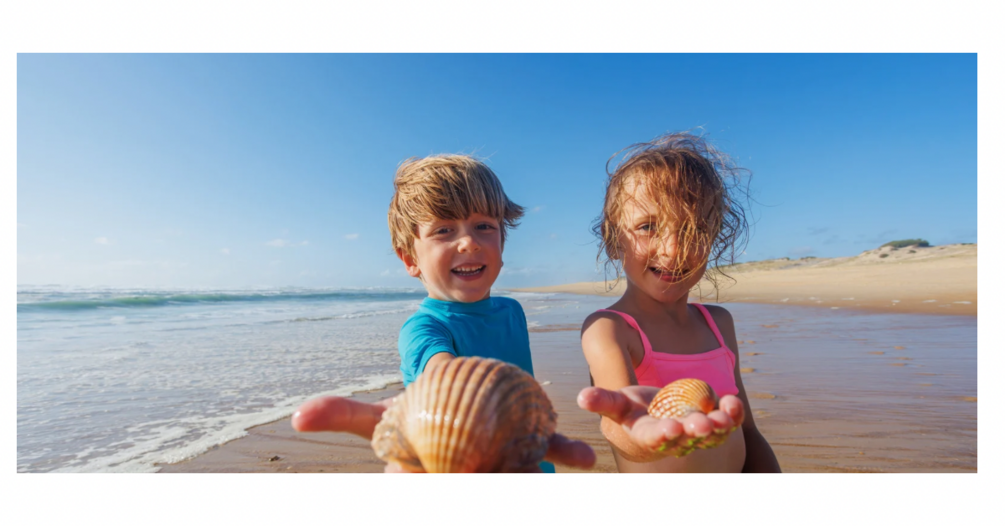 Counting Shells 1-10 for kids preview