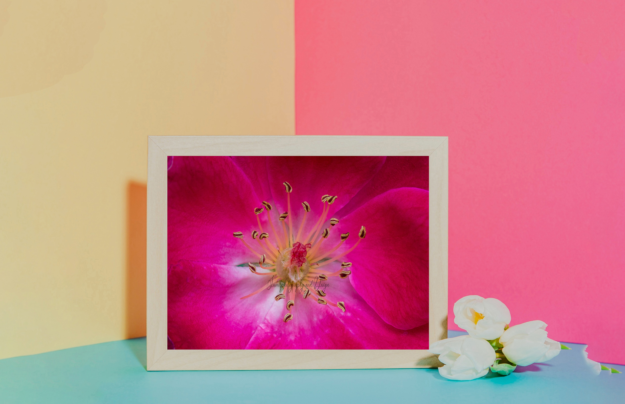 a-closeup-view-of-magenta-flower