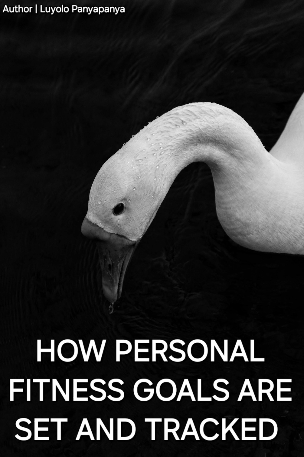 how-personal-fitness-goals-are-set-and-tracked
