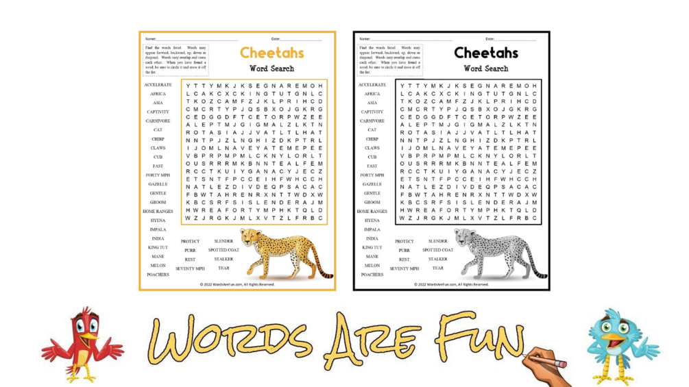 CHEETAHS Word Search Puzzle Handout Fun Activity