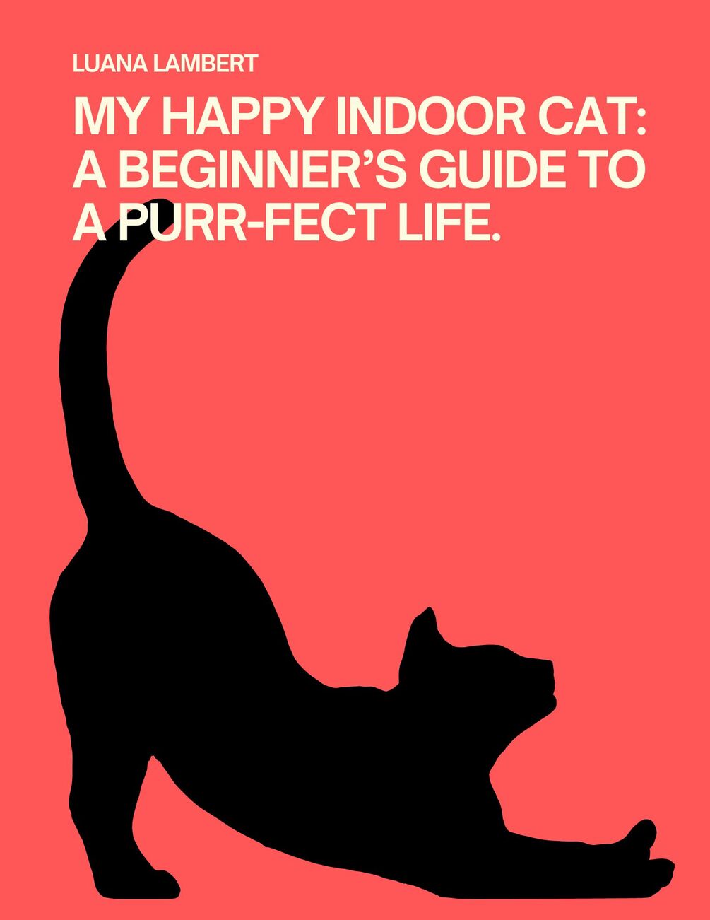 my-happy-indoor-cat-a-beginner-s-guide-to-a-purr-fect-life