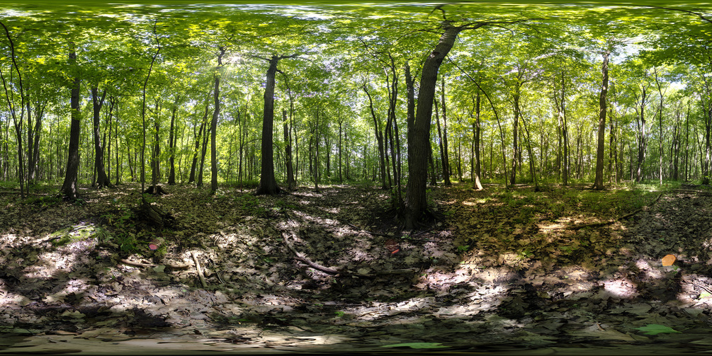 HDRI A set of HDRI I did while learning how to take HDRI panoramas