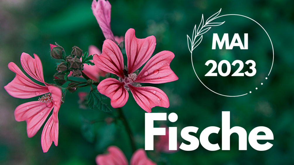 fische-extended-das-universum-nimmt-dir-die-entscheidung-ab