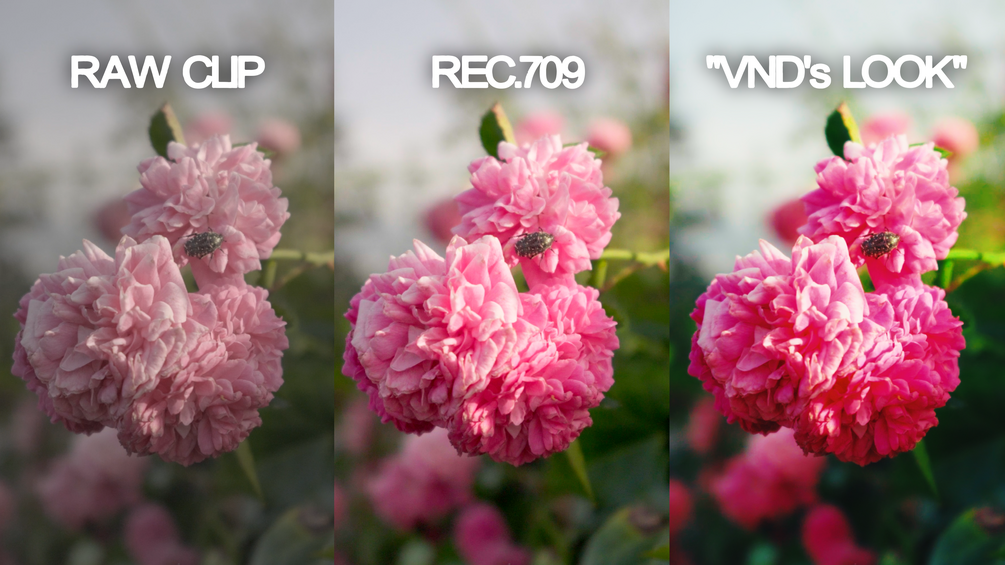 VND's PowerGrade preview 2