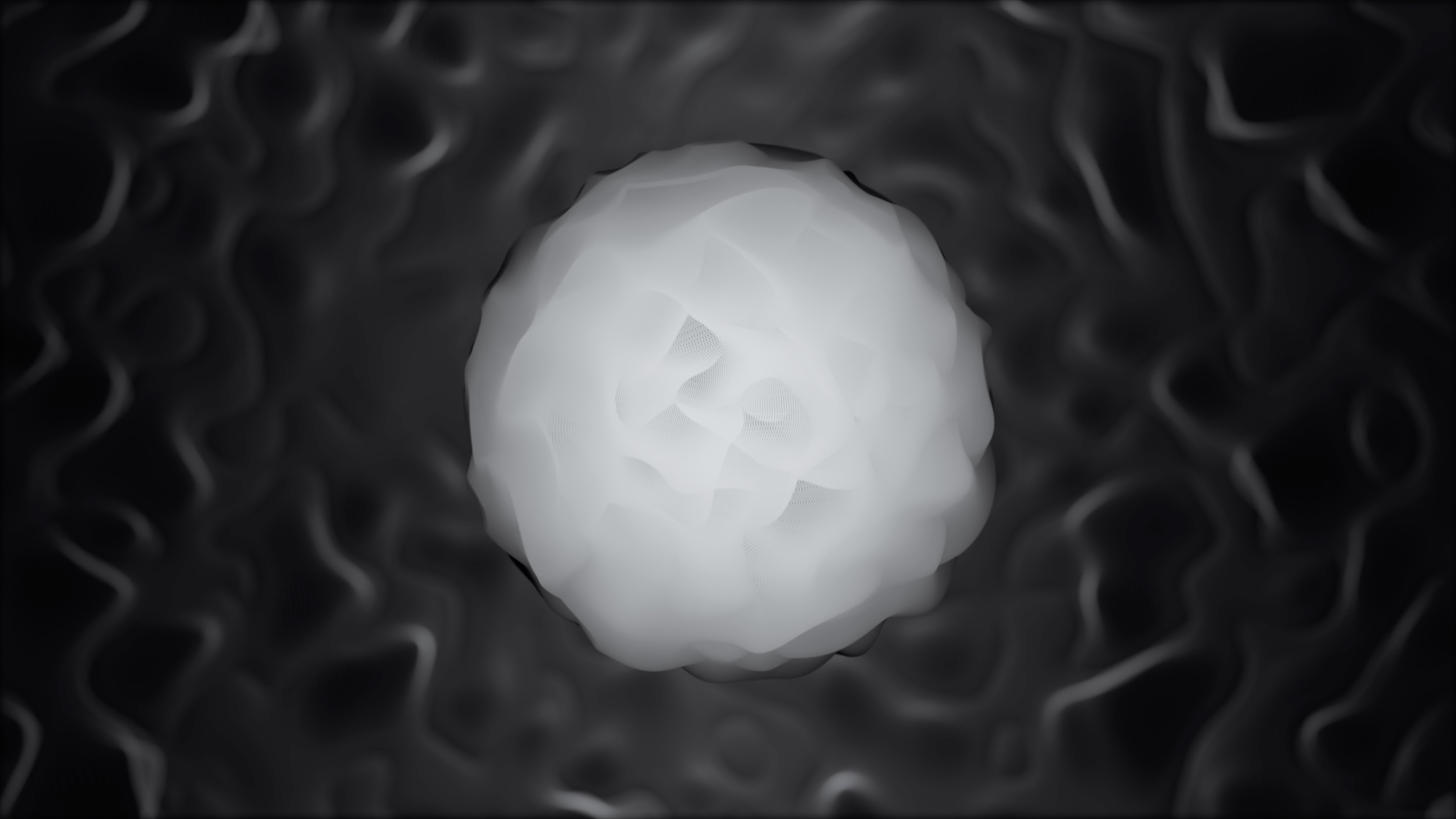 Ethereal: a frame from the loop.