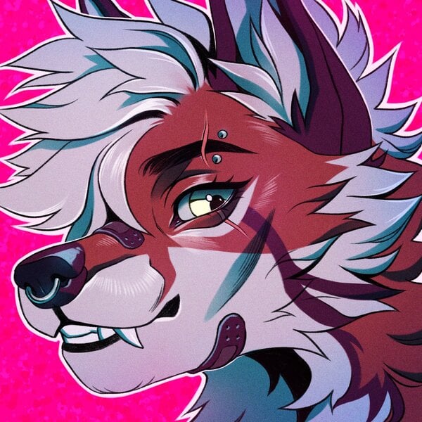 Support Aidenfur ^^ 🤍