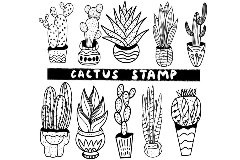 Procreate Brushset | Cactus Stamp | Design 2 Last by Akanksha | Zmapist
