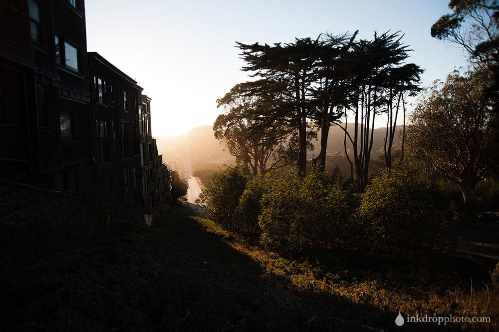 Presidio Park(way) - 05 - Wallpaper