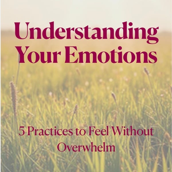 Understanding Your Emotions Workbook Cover