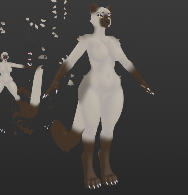 Siamese cat Nyx snow leopard Foxipaws