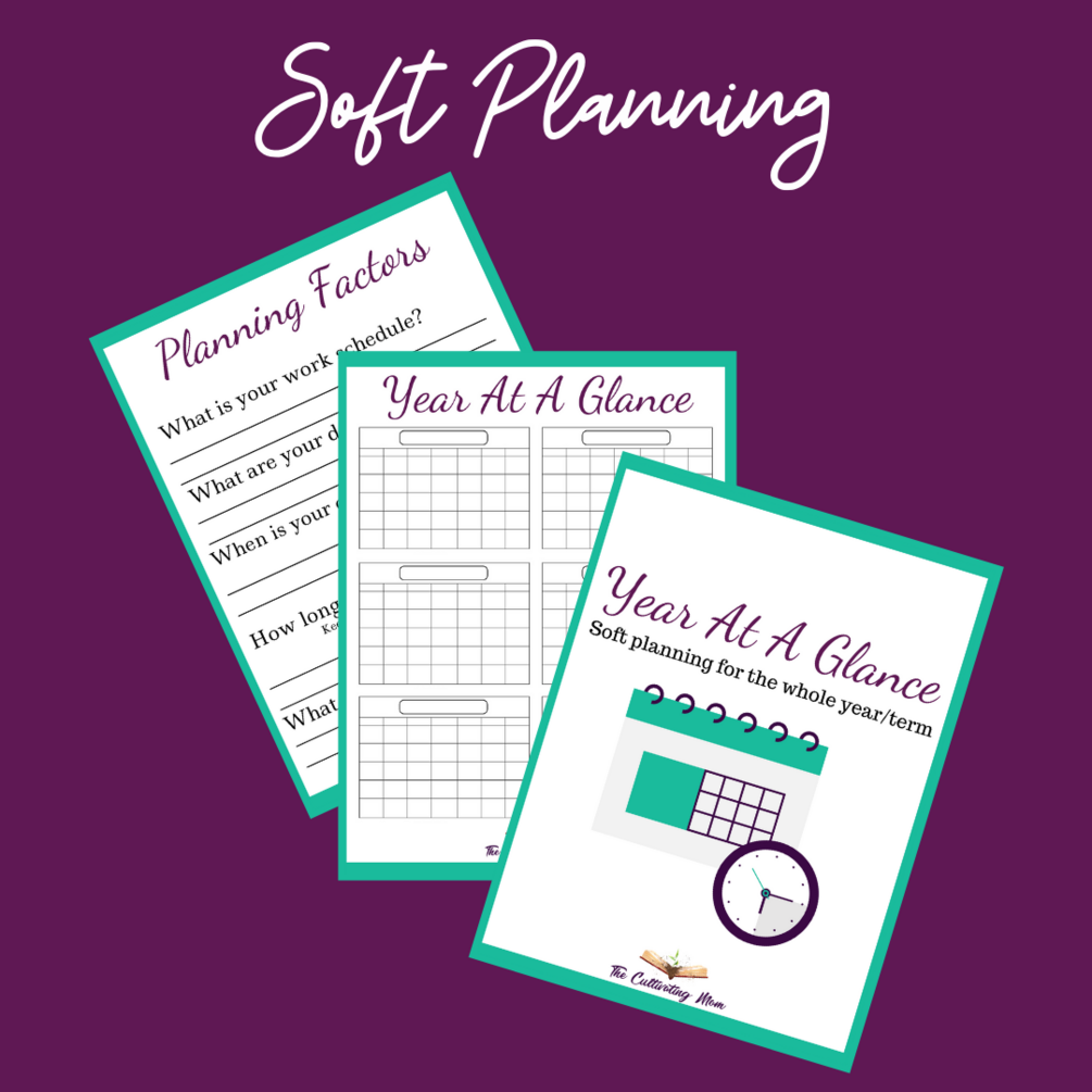 Soft Planning Year at a Glance (PDF)