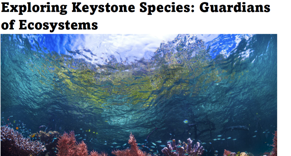 Exploring Keystone Species Webquest