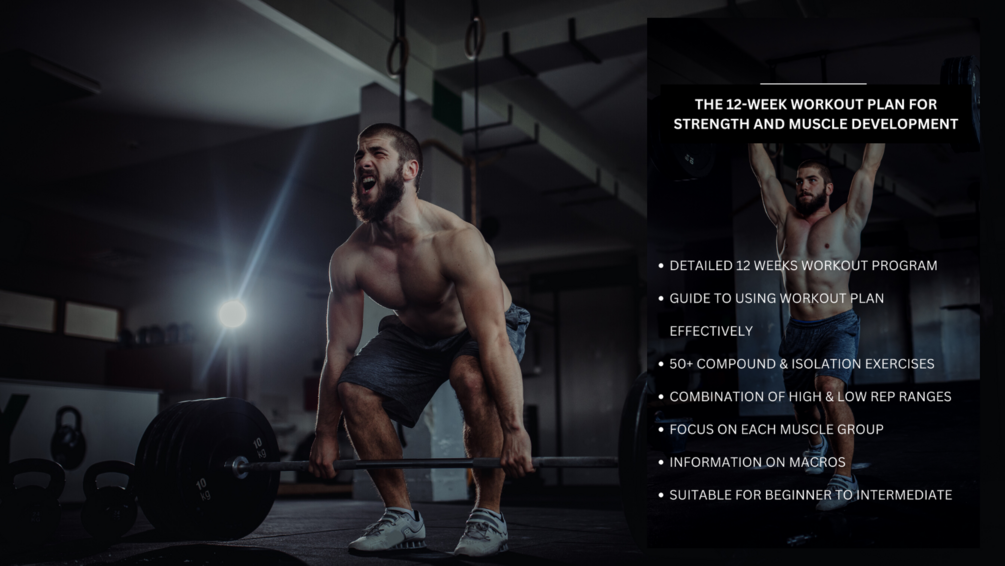 Week Workout Program To Build Strength