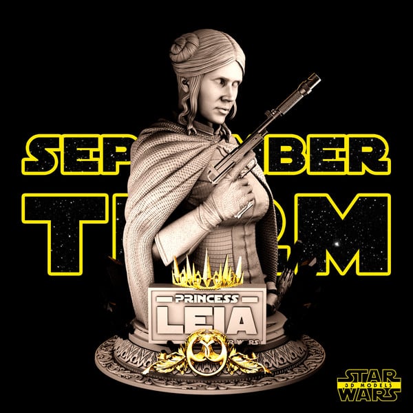 Leia Bust - Star Wars 3D Models - Tested and Ready for 3D printing