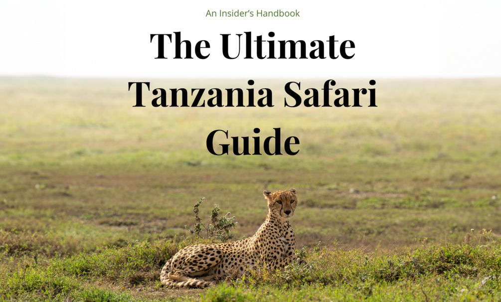 The Ultimate Tanzania Safari Insider S Guide Plan Your Dream African