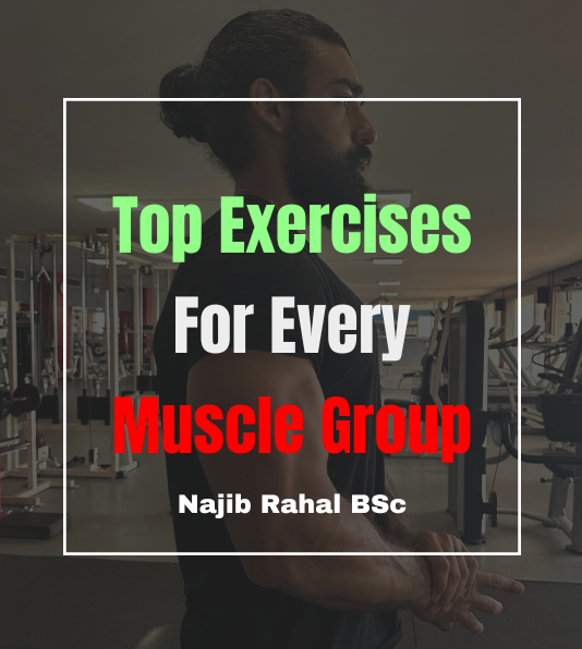 Top Exercises For Each Muscle Group