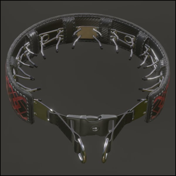Prong (choke) Collar