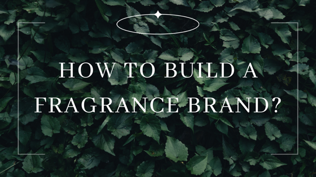 How To Start Your Own Fragrance Brand?