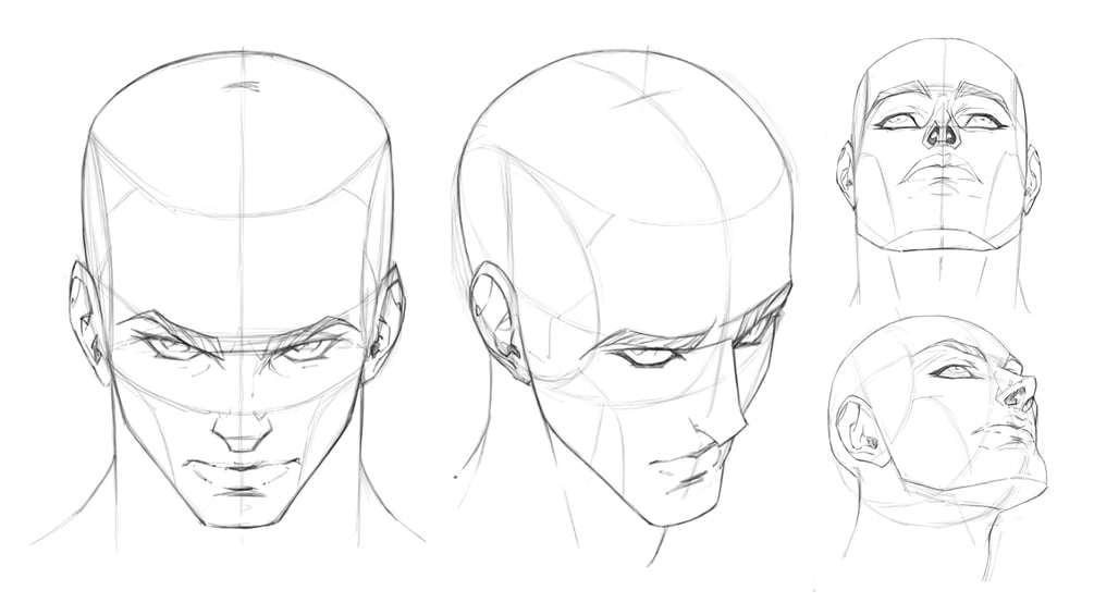 How to Draw The Front View of The Male Head