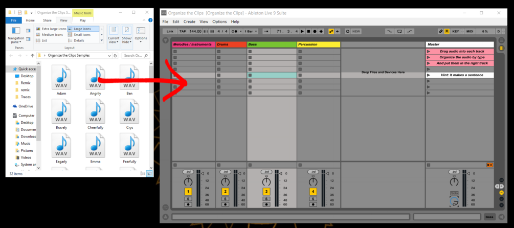 Organize the Clips Activity
