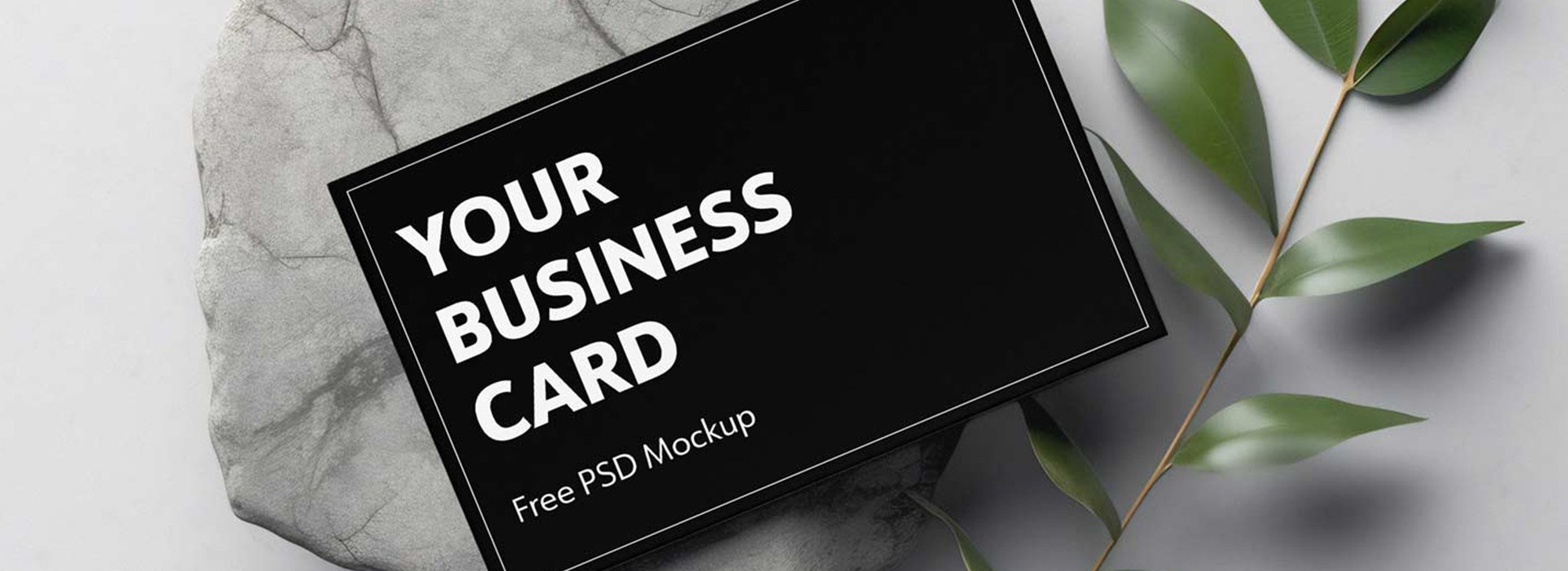 Business Card on Stone Mockup (US & EU size)