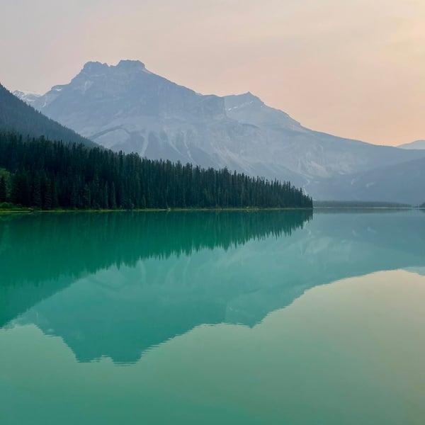 The Quit and Sit Cycle - A physical skill for effortless stillness