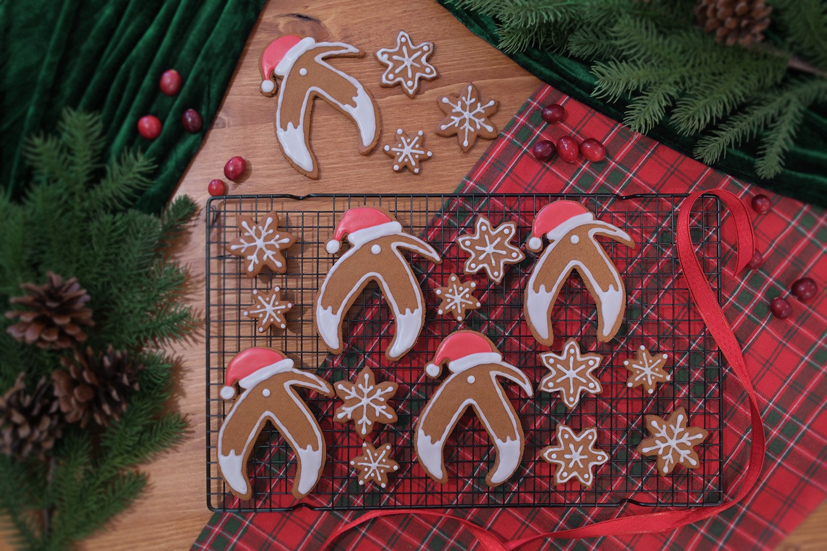 g49jntxo47l4hag8wodzqmxg8z2j