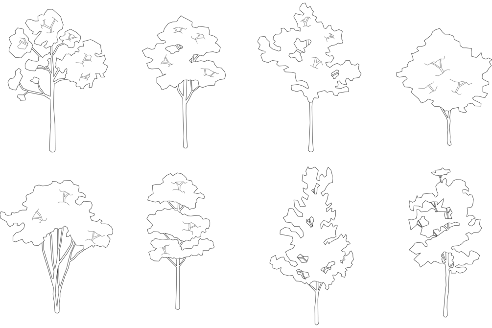 FREE Isometric Trees