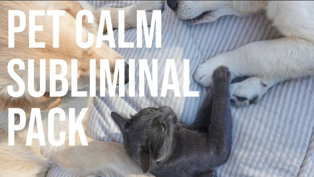 Pet Calm Pack cover