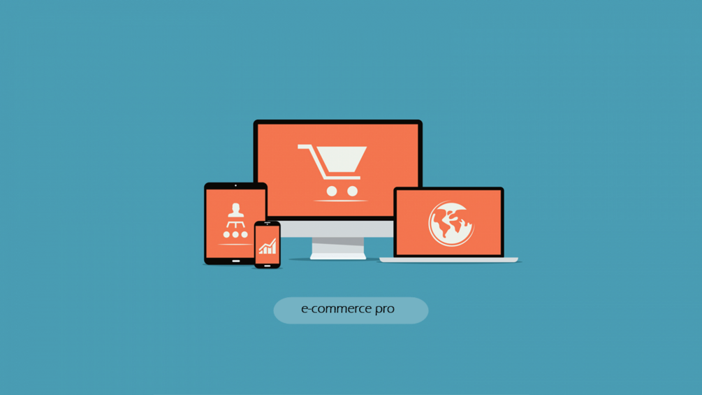Formation pro en e-commerce+ 2 ebooks gratuits