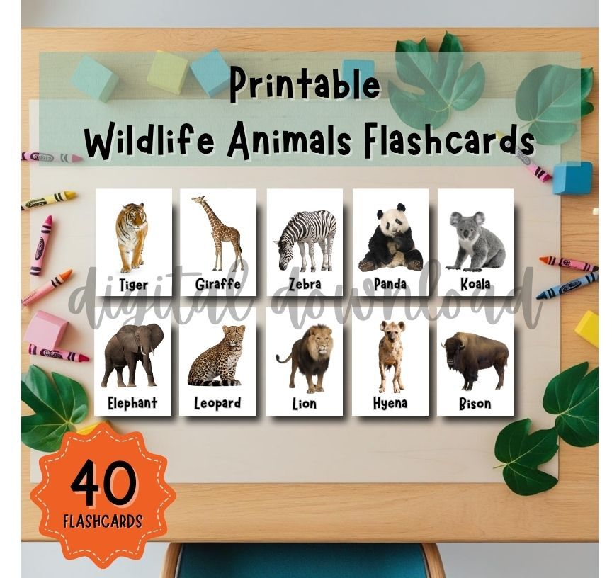 Printable Wildlife Animal Flashcards – 40 Realistic Cards for Kids Ages ...