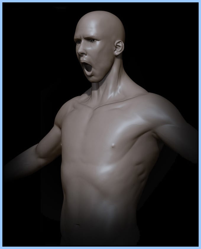 Zbrush Human Male Average Body Type