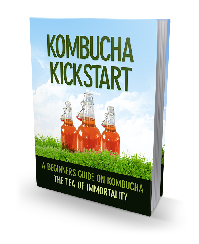 Kombucha Kickstarter