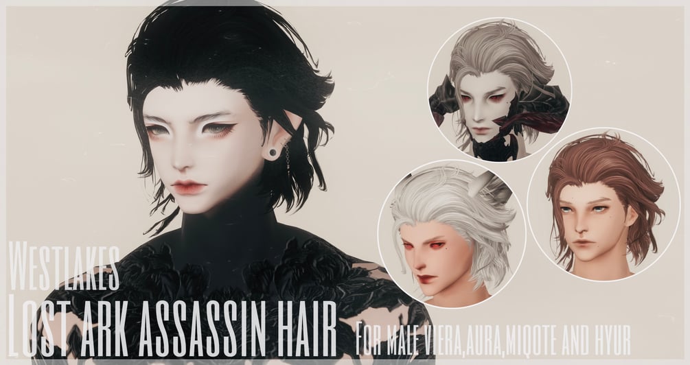 Lost Ark Assassin Hair for Males